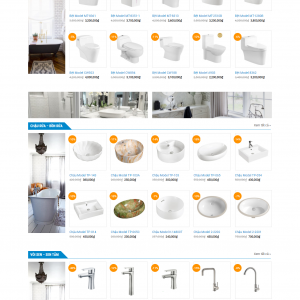Website vệ sinh